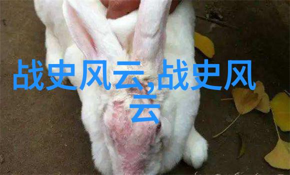 西方文学中的隐喻与象征通过希腊神话理解人性