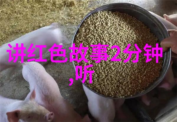 隋唐盛世从分裂走向重建再到辉煌与衰落的一个回顾分析
