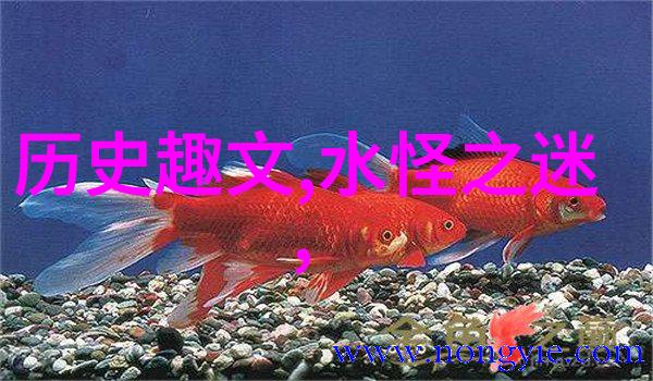 李玟经典歌曲大全国内男歌手名单全收录人物专辑集锦