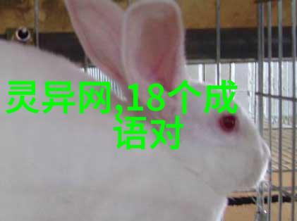 追寻古韵解读中国历史上的书写奇观