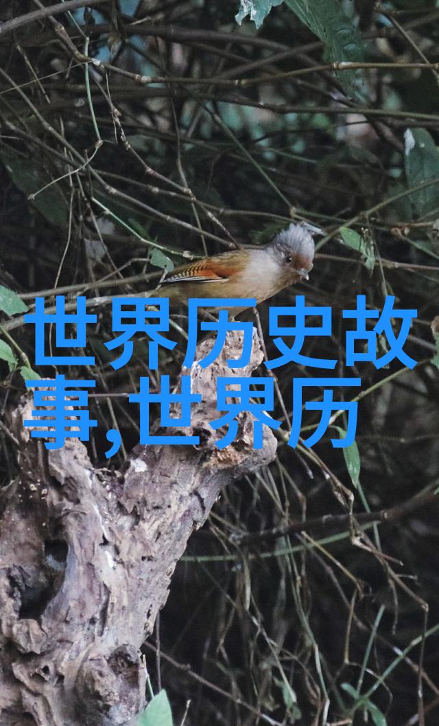 穿越千古中国神话故事100个篇章探秘