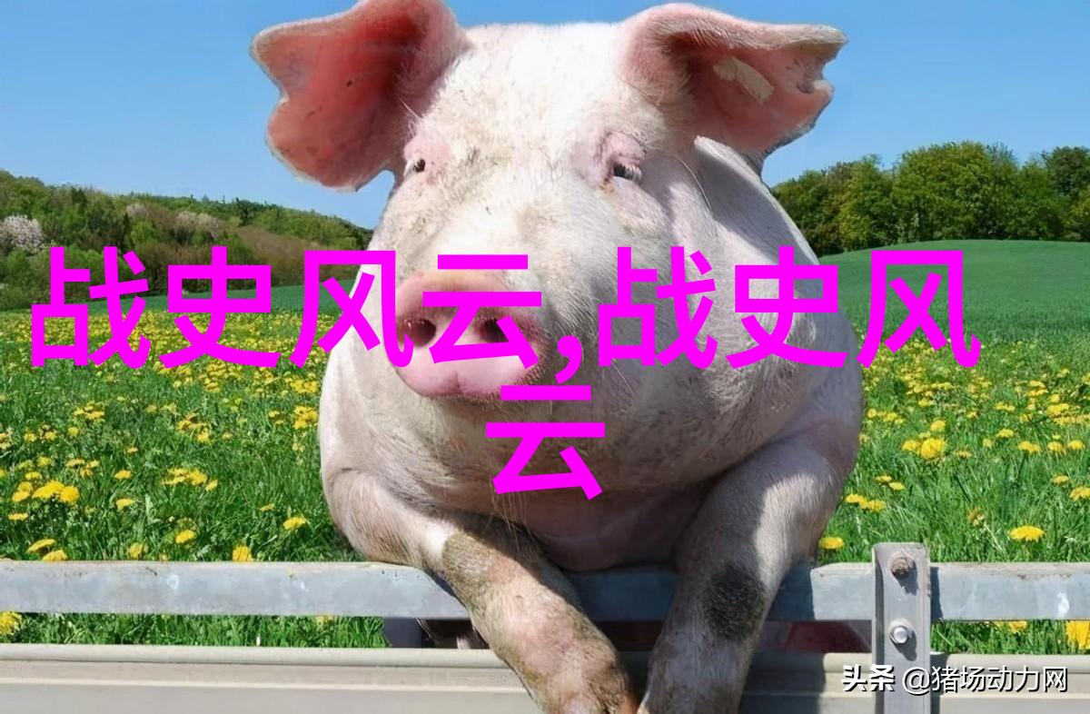 选择个历史人物讲他的故事我是曹操我如何一步步夺取天下