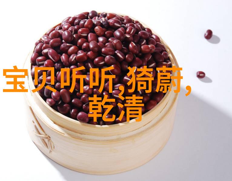 闲云我行将止追逐梦想的孤独之旅