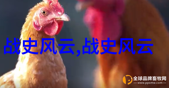 四年级神话故事大全 - 神话奇遇儿童版经典传说集