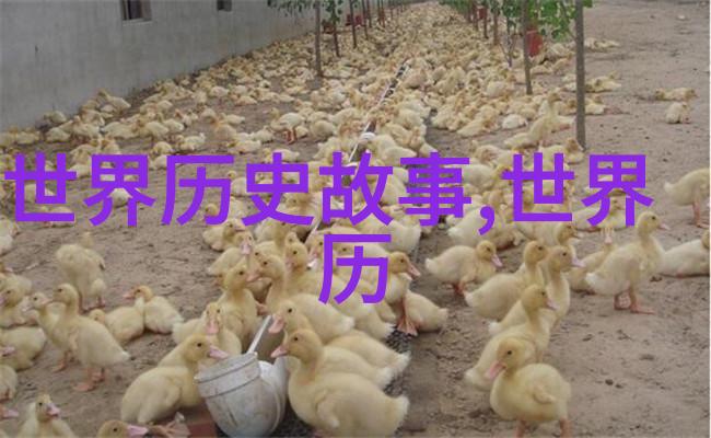 笑傲江湖的中国功夫大师如何用一脚把外星人踢飞
