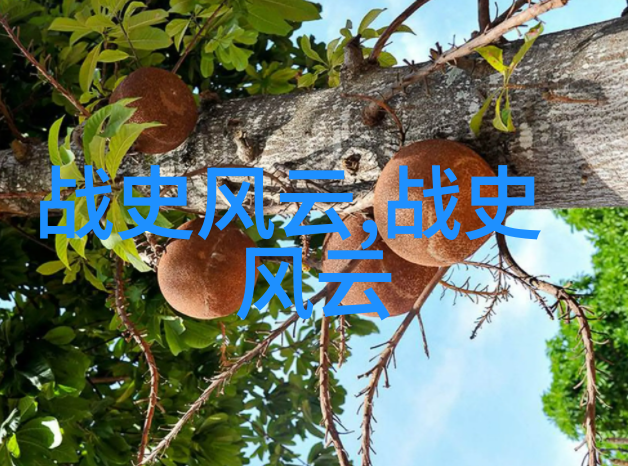 夜幕下的故宫守护者他们守卫着什么