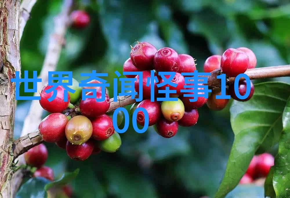 历史上的奇闻趣事古代隐形士兵的神秘守卫