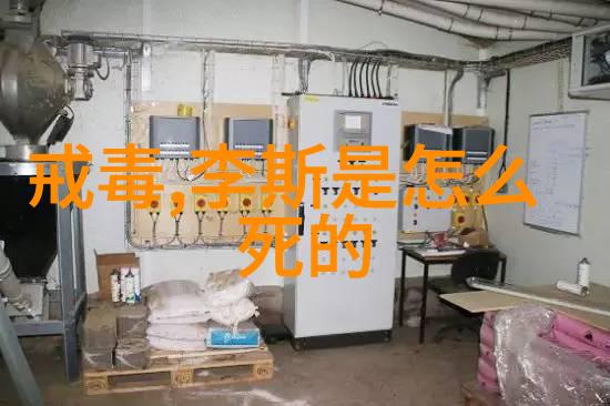 跨越千年的智慧链条为什么每个三年级生都应阅读一些基本的历史小说呢