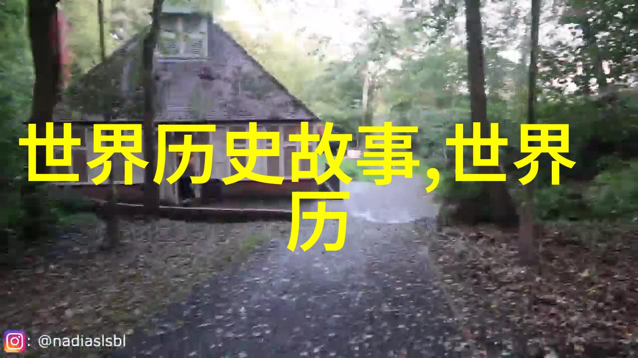 红楼梦里的隐喻与历史背景解析