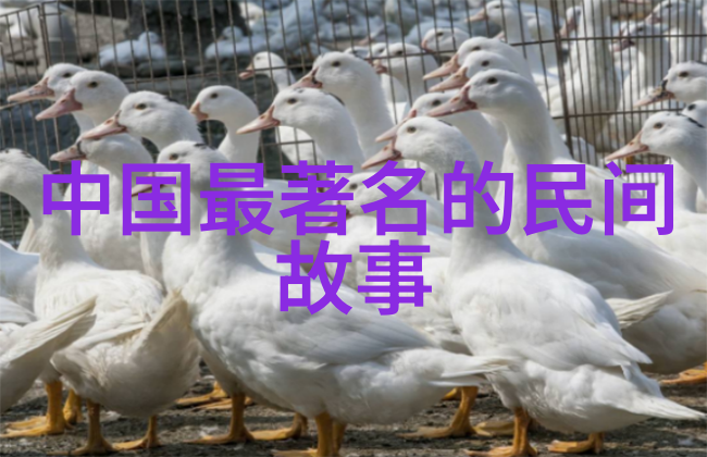 神秘失踪-消逝在迷雾中的痕迹揭开未解之谜
