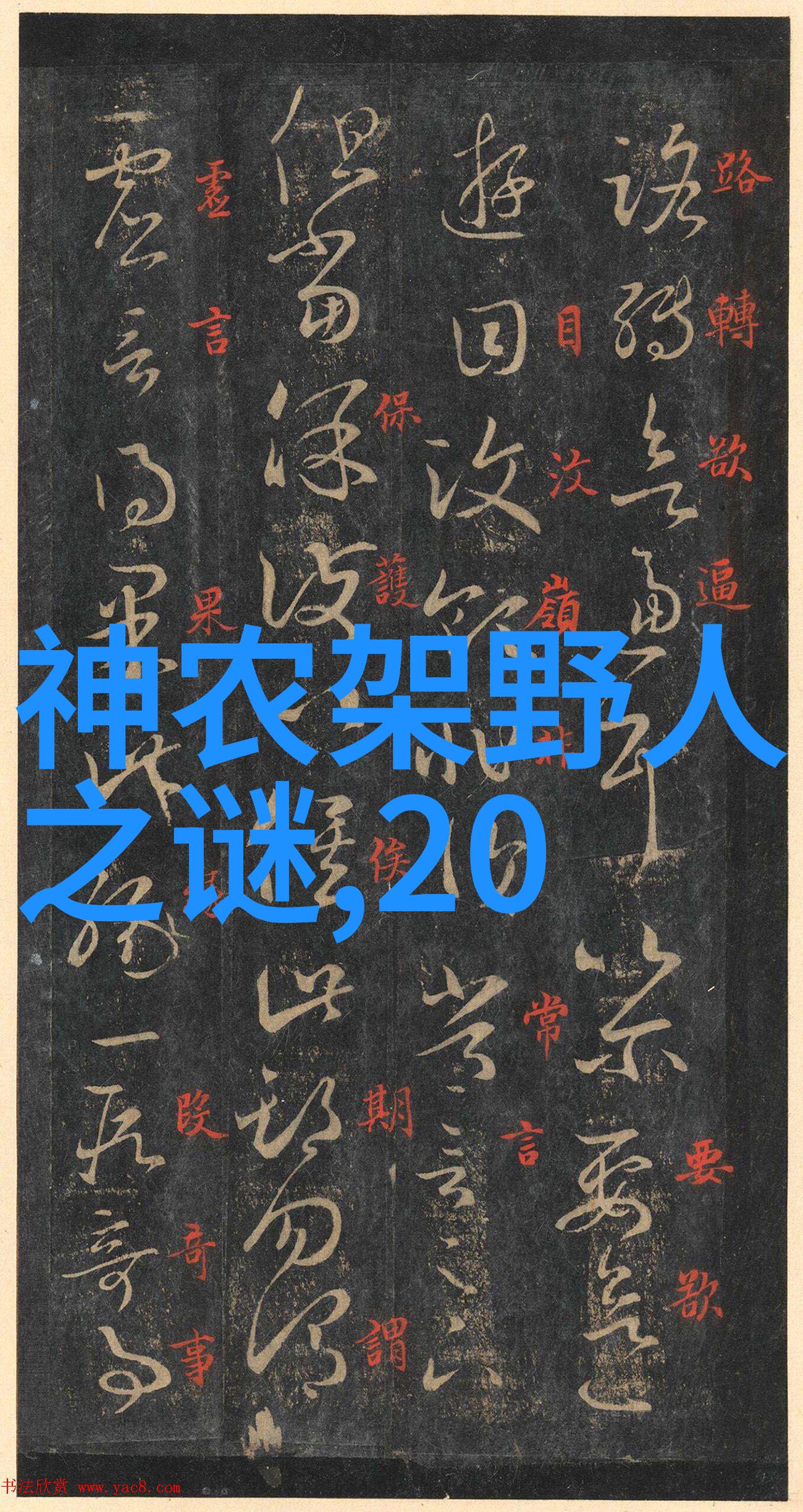月光下的狐狸与兔子
