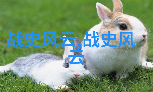 的龙具由谁来掏谁能揭开我家的古老秘密
