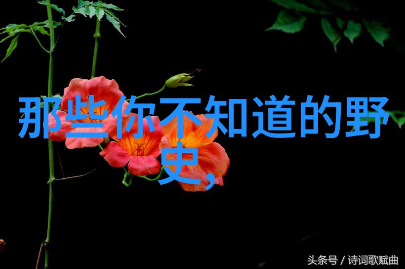 传说中的五行山脉及其对中国文化的影响