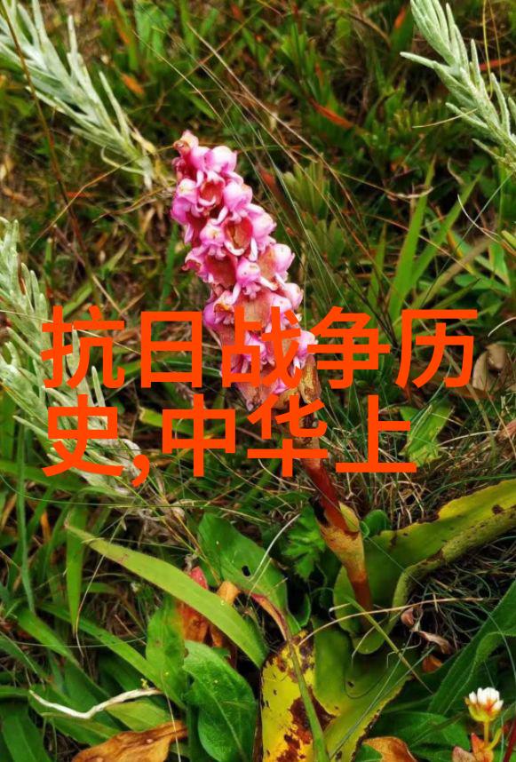 古代智慧的传承唐朝诗人李白的星辰之旅