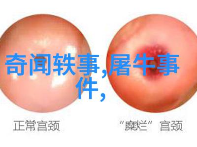 儿童历史故事大全我和那些古老的朋友们探秘历史故事