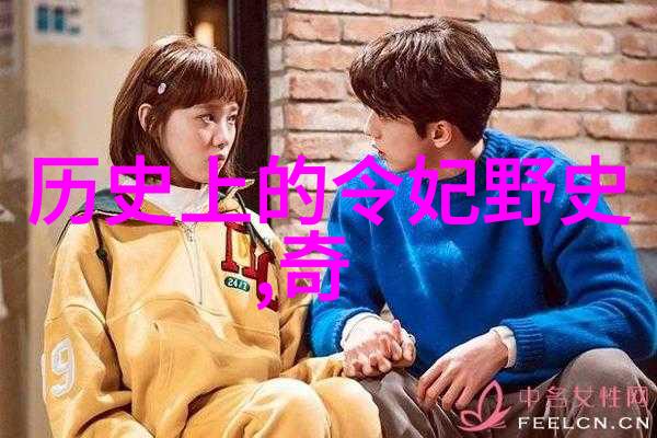 三国野史乱世佳人与隐秘的权谋