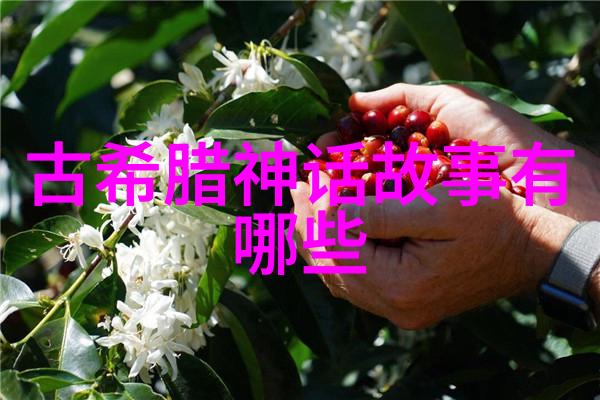 神话传说忘却的爱河与海底女王