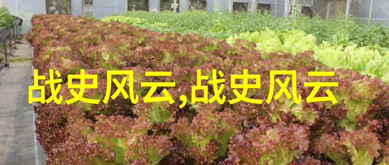 隐藏在时间长河中的奇迹解密古代文明的神秘遗迹