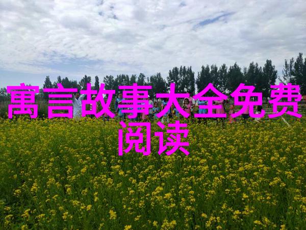 龙凤呈祥中国历史人物的秘密篇章