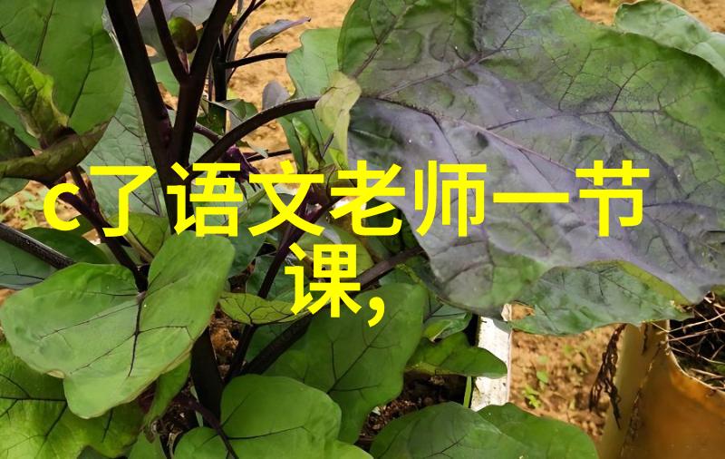 文化交流的镜子比较中文和英语中对中国古代神话故事的描绘