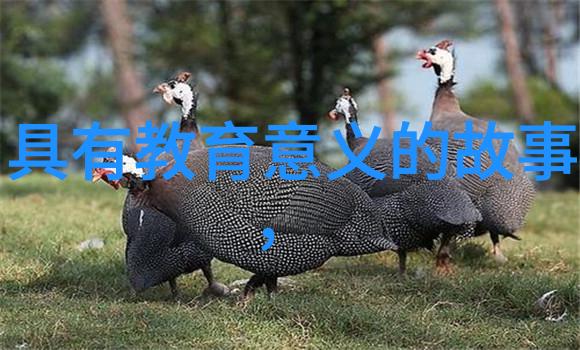 辛亥革命中的隐秘使者他真的只是一个普通的书生吗