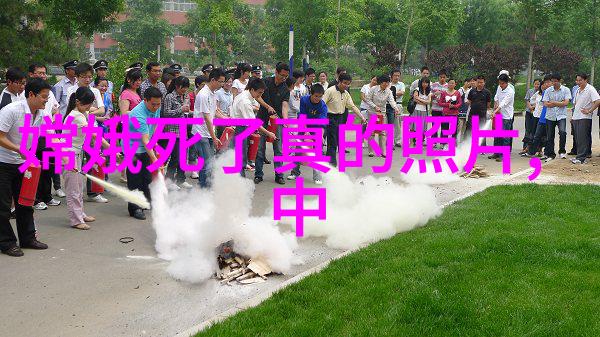 童话中的魔法世界为何让我们心醉不已