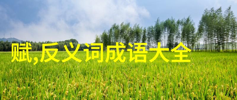 梦想与坚持创造奇迹讲述那些改变世界的人们
