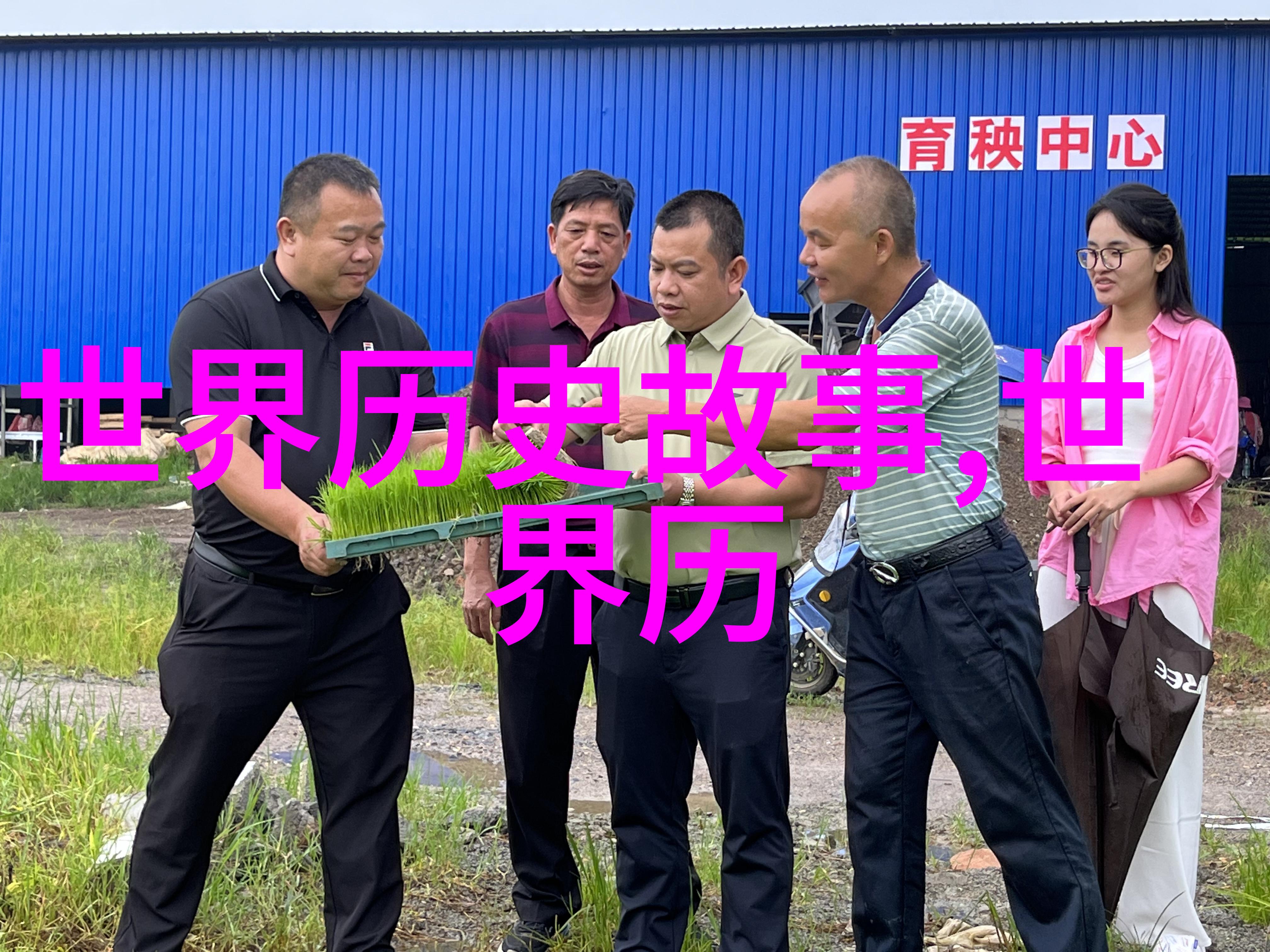 探索往昔的足迹古迹与博物馆的奇遇