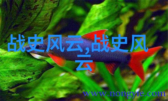 儿童免费听故事大全-童话乐园无限的想象与快乐