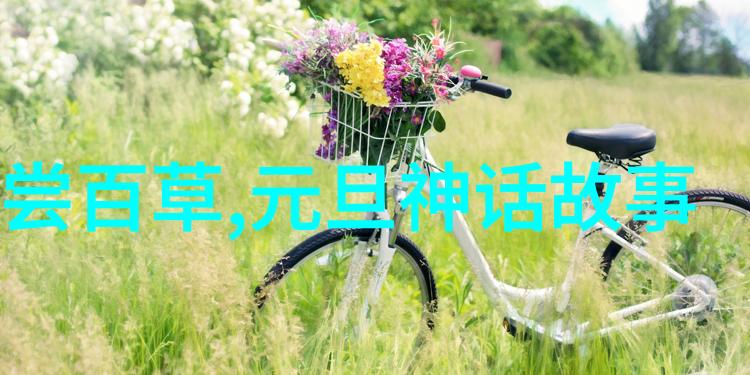 中国禁闻的隐秘世界揭开被遗忘的真相