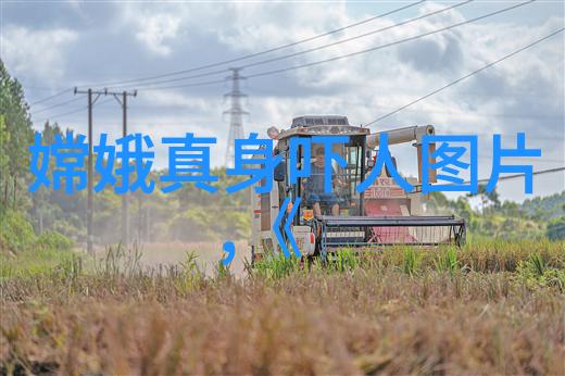 河南梆子和豫剧是一回事吗程林远探究历史根源