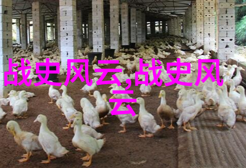 笑声中隐藏的阴影86年春晚背后的恐怖故事