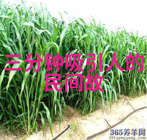 许衡元曲四大家中的幽默大师1209年1281年
