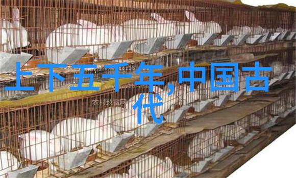 梦幻奇遇儿童睡前故事的神秘篇章