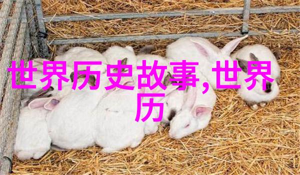 千秋沉浮中国古代历史故事的深邃回响