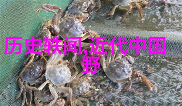 琼崖纵队-红旗下的战士琼崖纵队的英勇抗日史