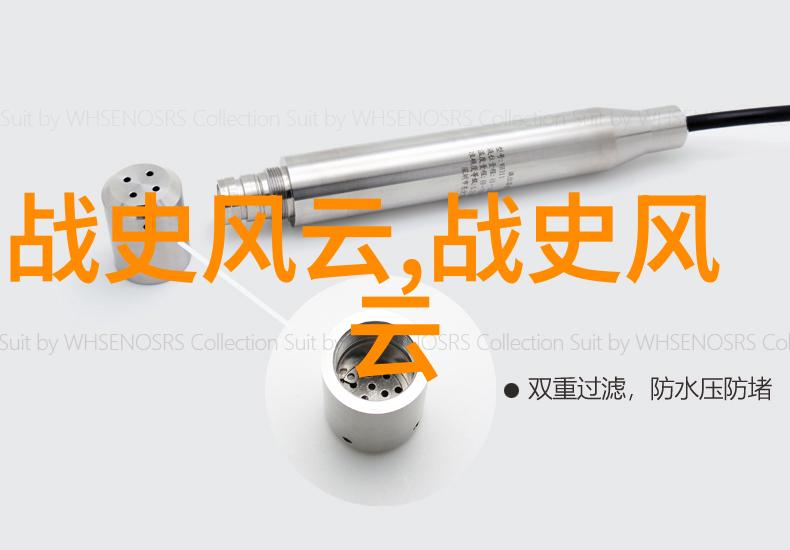 21世纪的隐秘面纱一段被遗忘的历史