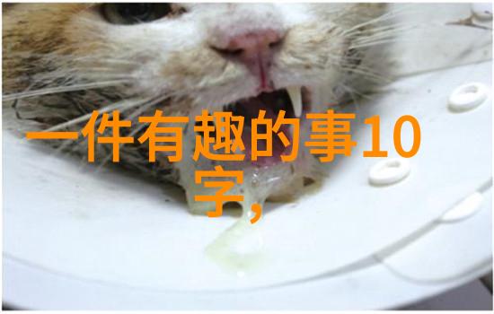 世界趣事奇闻录地球上最神秘的现象与令人瞩目的事件