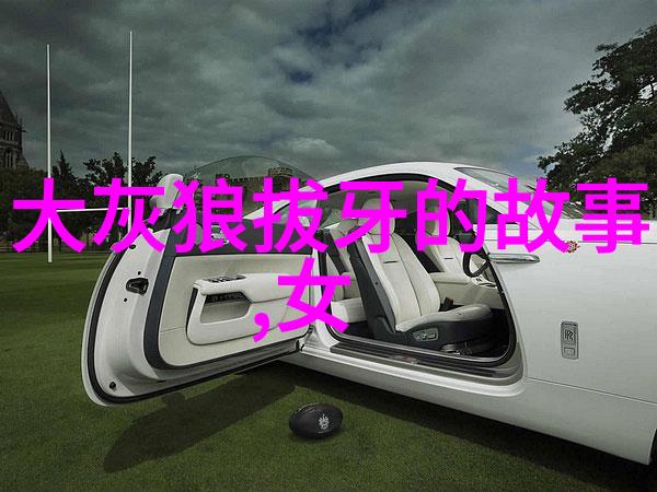 三年级必读历史故事-古代英雄的足迹从三国演义到红楼梦