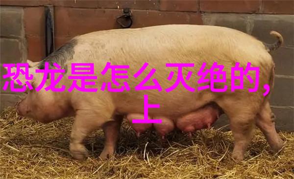 沈伯俊美国学校的学霸之光