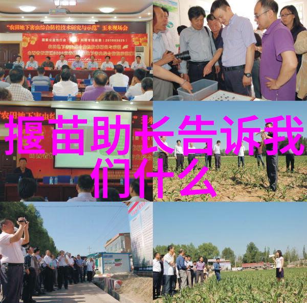 中国著名人物介绍ppt我国那些让我印象深刻的历史巨人