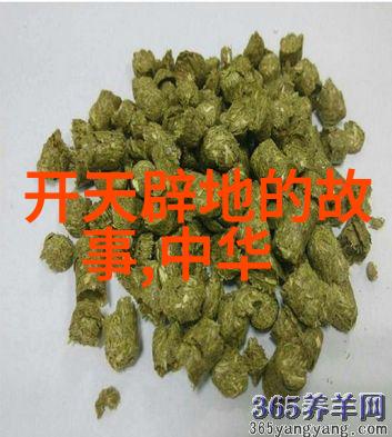 雪地里的奇迹拉比诺维茨的救赎行动