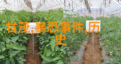 玻璃窗外的世界站在落地玻璃窗前做的诗意时刻