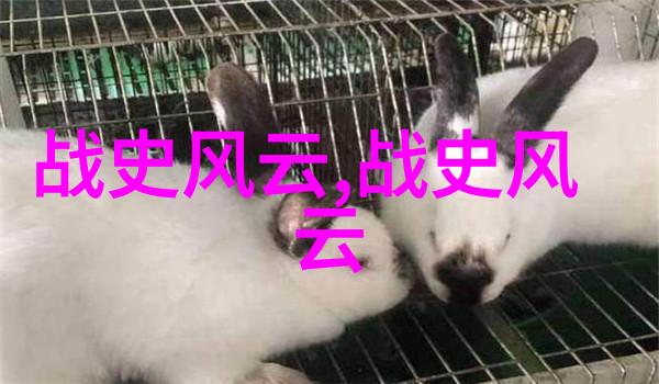 华夏美人倾世皇妃的传奇故事
