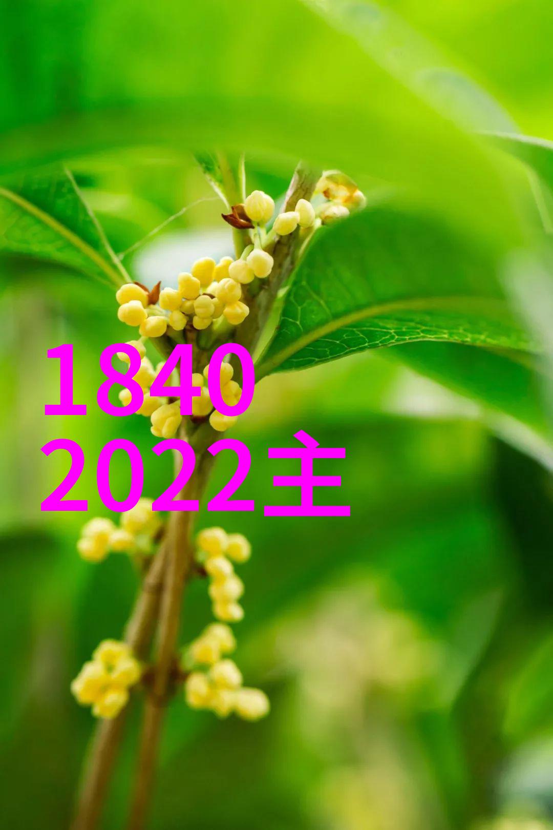 穿越古代神话的长河山海经中的奇异世界探秘