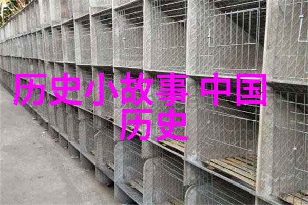 夜幕下的奇幻旅程睡前故事的魔法