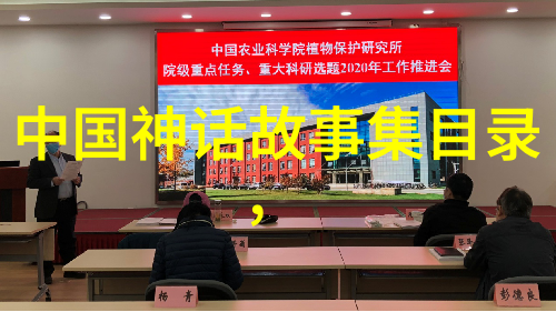红楼梦里的林黛玉与贾宝玉爱情悲剧的反思