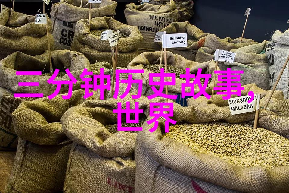 野史趣闻ppt - 揭秘古代奇闻趣事一个引人入胜的演示文稿探索
