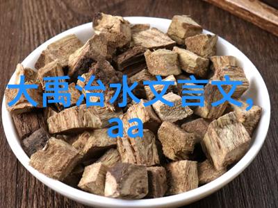 中国古代神话故事英语我和龙的奇遇一段穿越时空的冒险