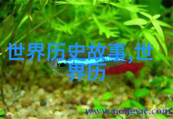 古老传说龙的守护与凤的智慧